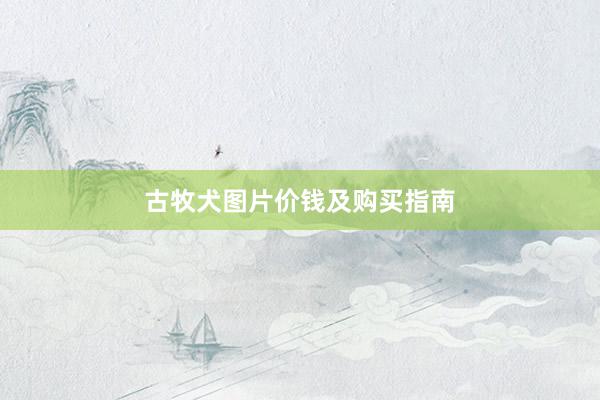 古牧犬图片价钱及购买指南